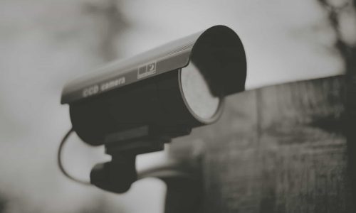 joe-gadd-DYLsNF8hNho-unsplash joe-gadd-DYLsNF8hNho-unsplash